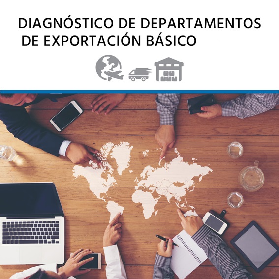 consultoria_diagnostico básico 1 asesoramiento exportación. asesoría comercio exterior, como exportar, exportar alimentos