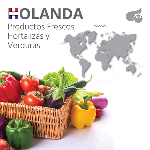 productos_frescos_holanda
