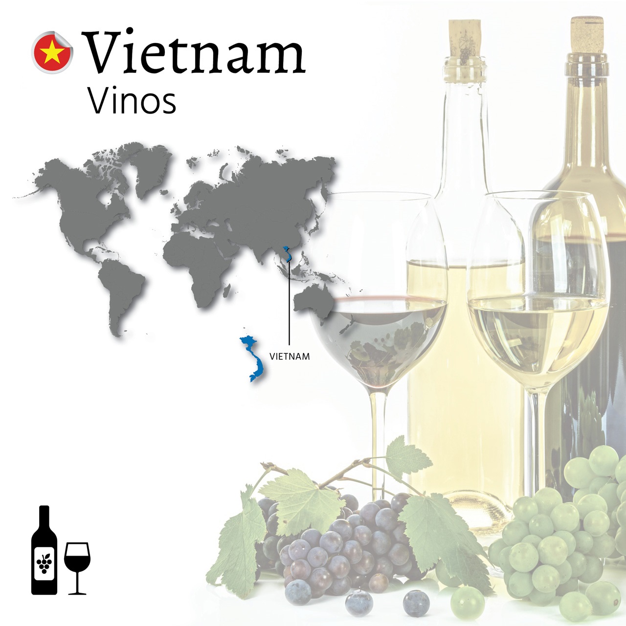 Importadores de vino de Vietnam exportar vinos a Asia. Exportar vinos a Vietnam. Exportación de vino tinto y blanco