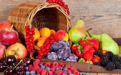 7 consejos para exportar tus frutas a Europa