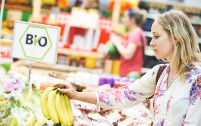 Cómo vender más productos Bio en Noruega